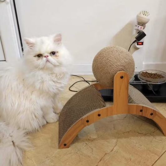 ScratchSphere - Interactieve Krabbol Kat