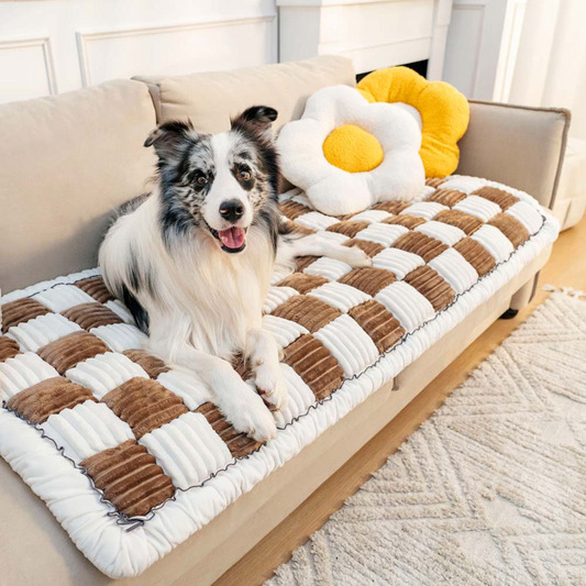 PetProtect - Bescherm je interieur tegen krassen!