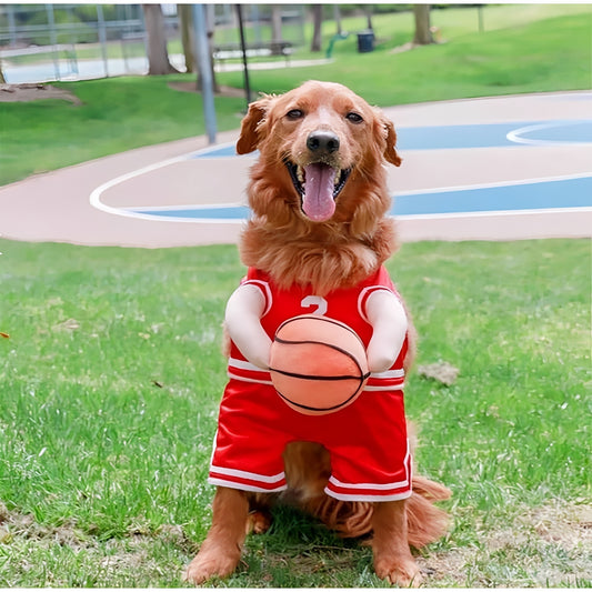 DunkinDog - Maak jouw hond een ster!