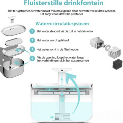 AquaFlow - Bescherm je kat tegen gevaarlijke bacteriën!