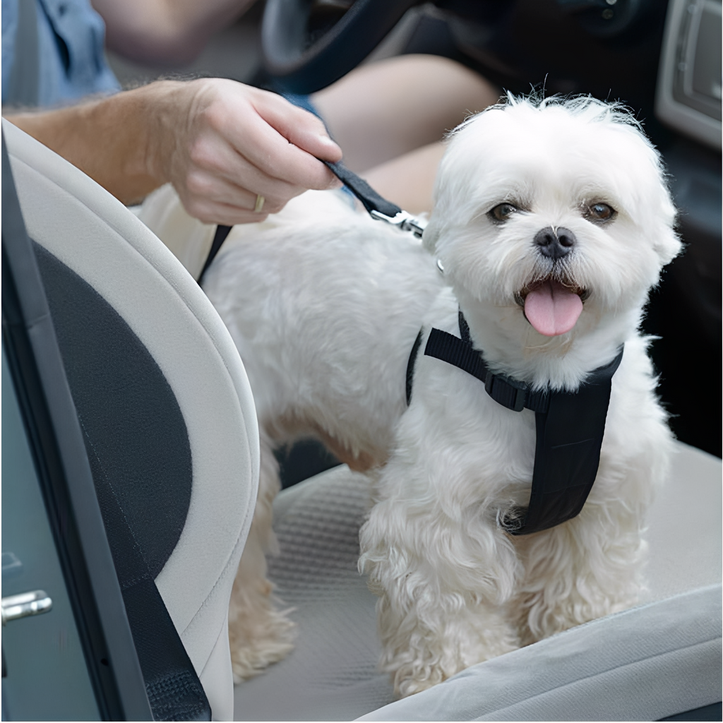 BarkBuckle - Verstelbare Veiligheids Autogordel