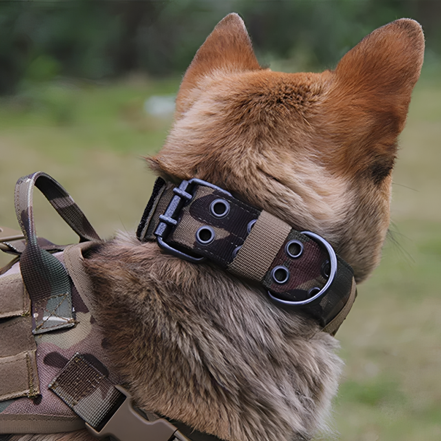 PawLock - Verstelbare Reflecterende Hondencollar