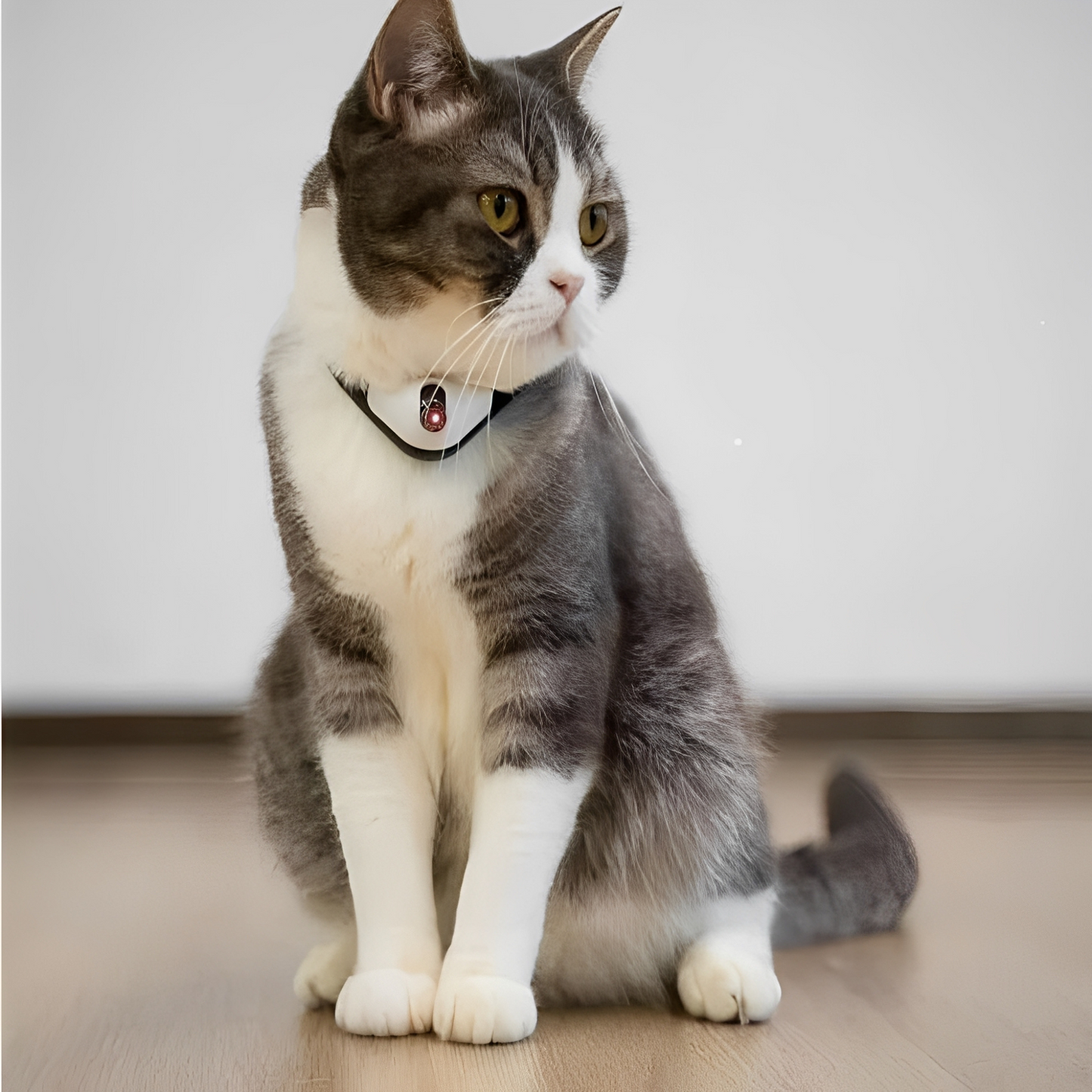 LaserPaw - Interactieve Huisdier Halsband