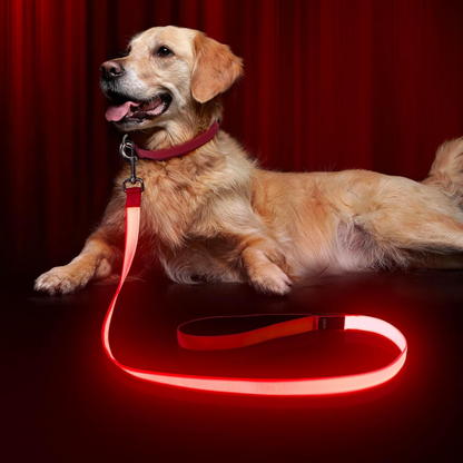 LumaPaw - Verlichte USB-Hondenhalsband