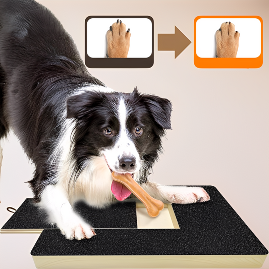 PawShaper - Maak van nagelknippen een spel!