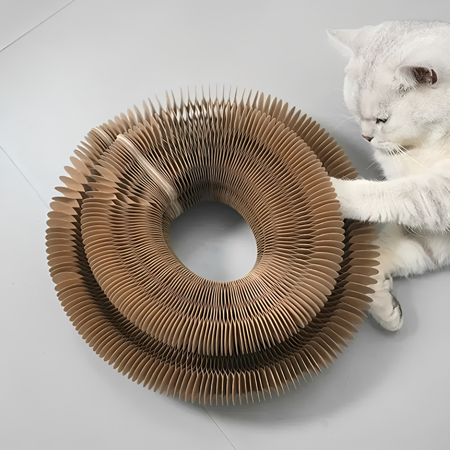 PurrPlex -  Opvouwbaar Modulair Kattenspeelgoed
