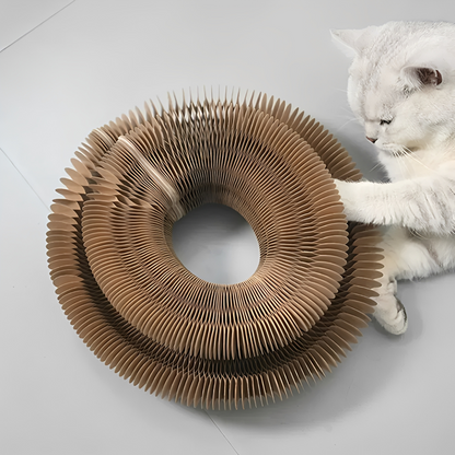 PurrPlex -  Opvouwbaar Modulair Kattenspeelgoed