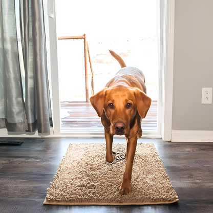 CleanPaw - Nooit meer last van vieze pootafdrukken in huis!