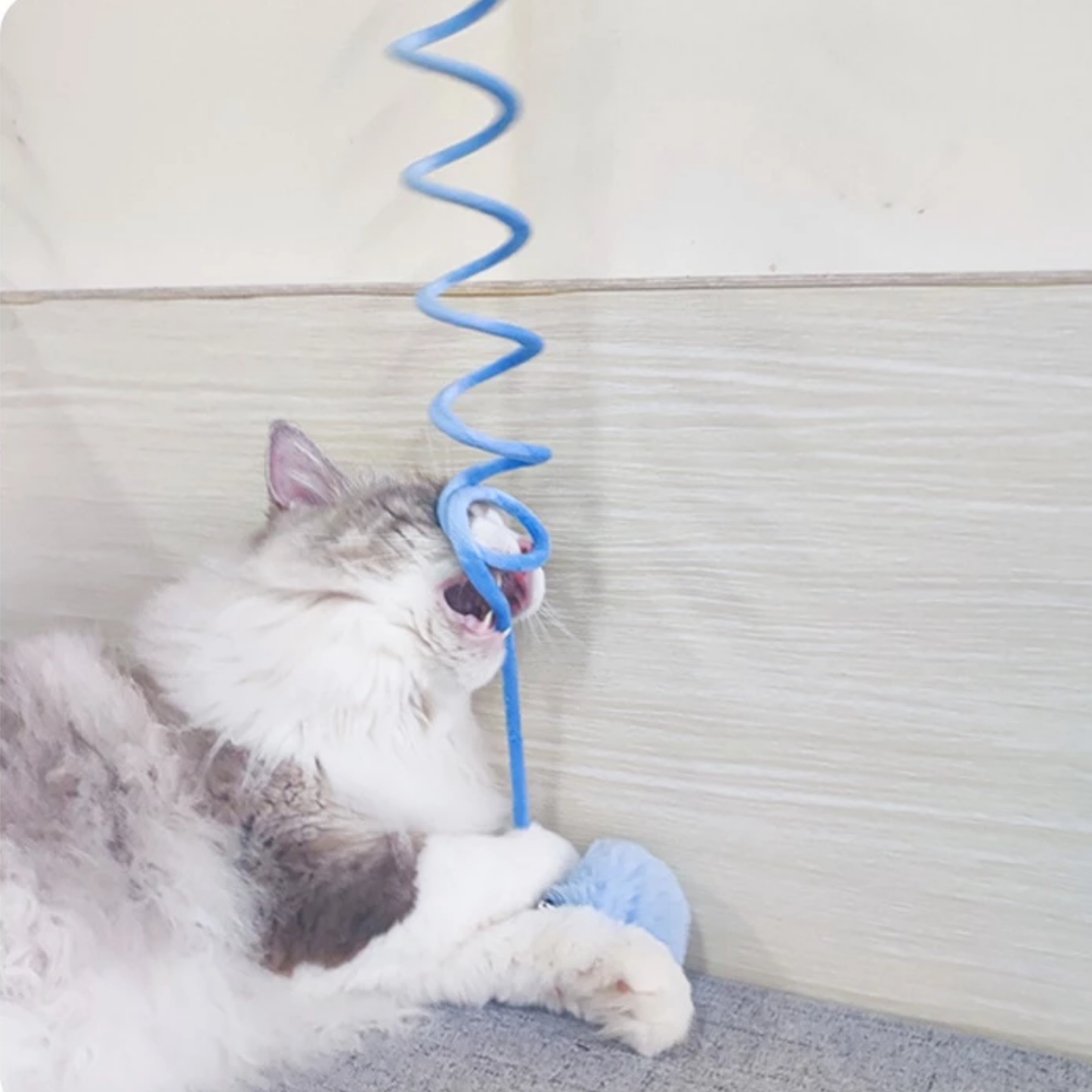 Pompounce -  Interactief Zelfstandig Kattenkoord