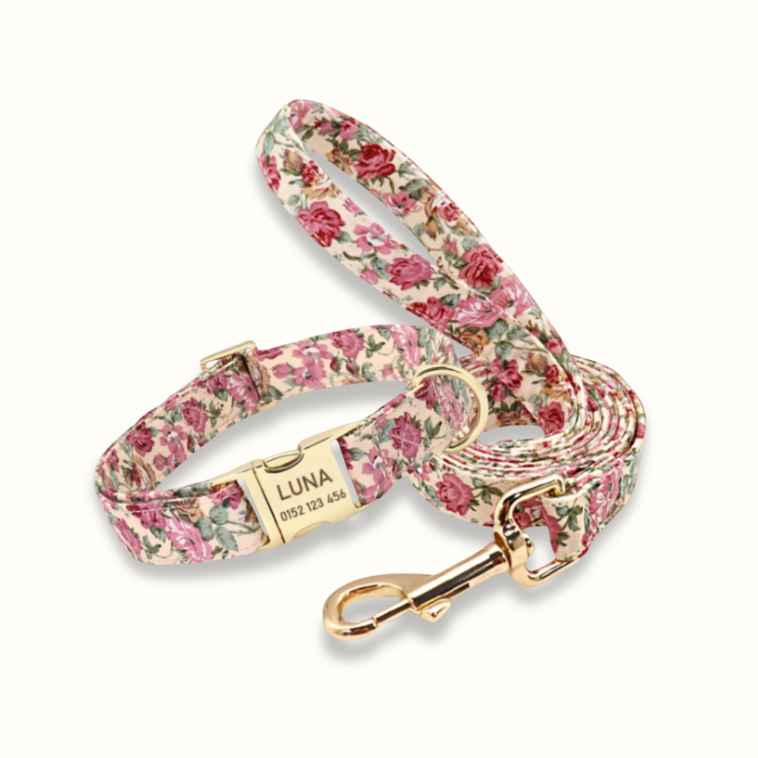 Pawdentify - Gegraveerde Nylon Hondenhalsband
