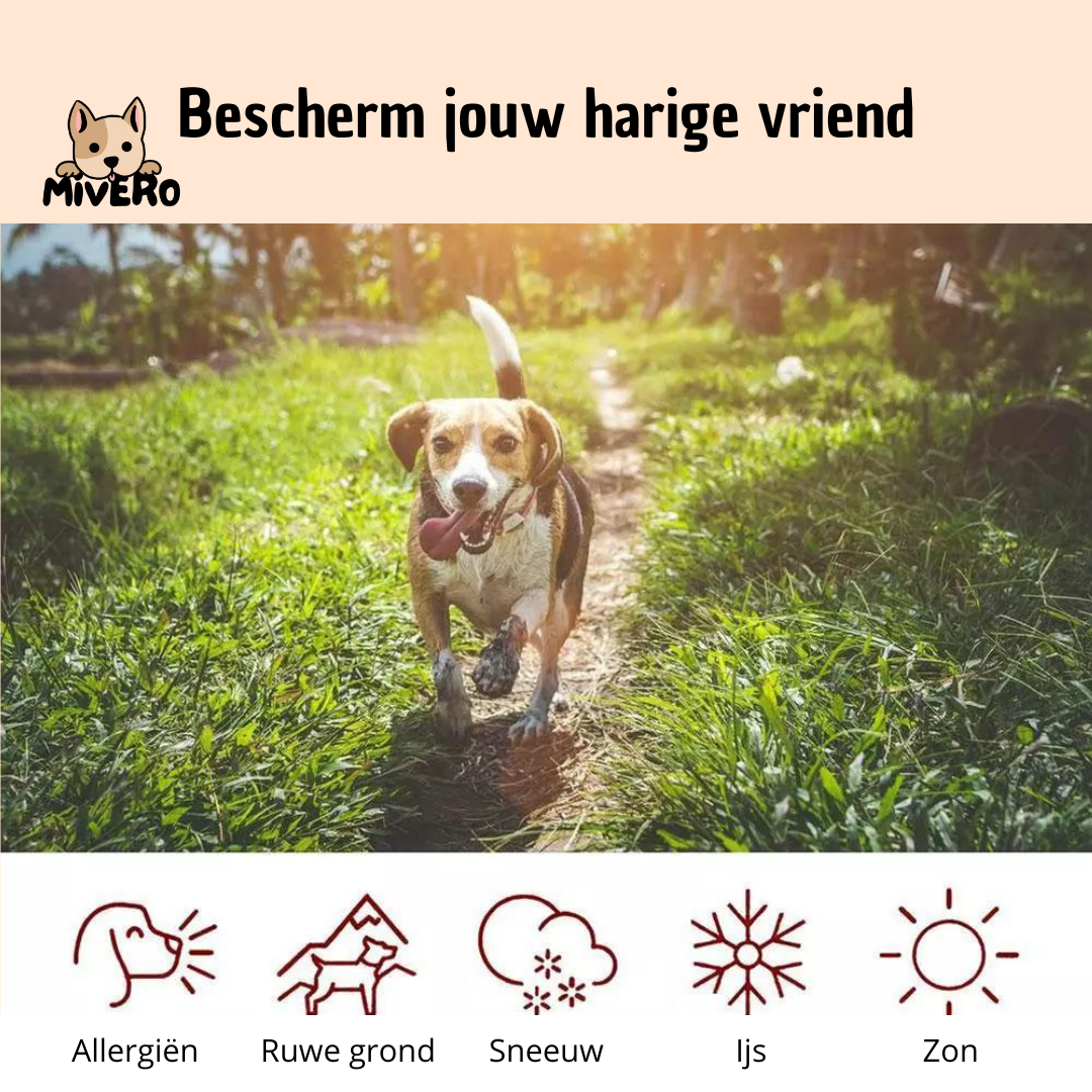 PawBalm - Heeft jouw huisdier last van droge pootjes?