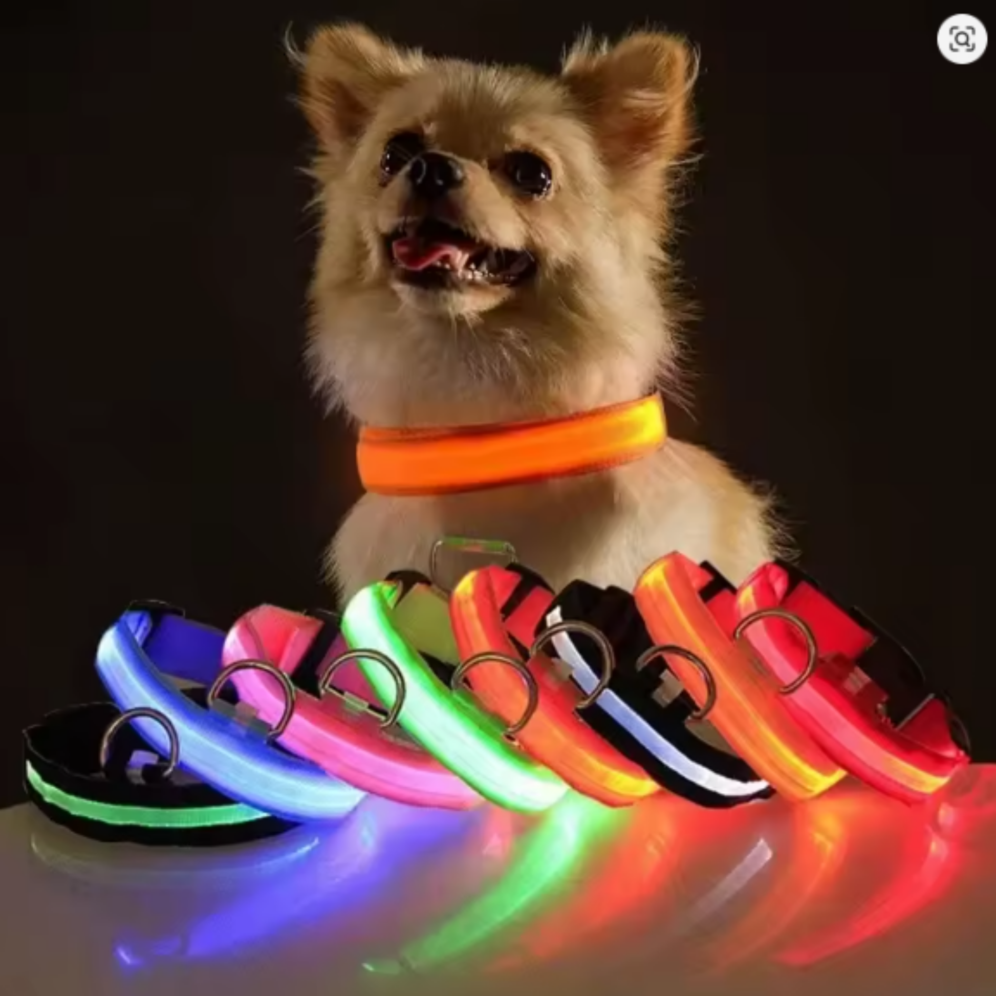 GlowPup - Oplaadbare LED Halsband