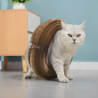 PurrPlex -  Opvouwbaar Modulair Kattenspeelgoed