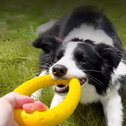 TuffRing - Drijvende Kauwbestendige Hondenfrisbee