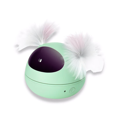 LazrLoop -  Automatische Interactieve Kattenlaser