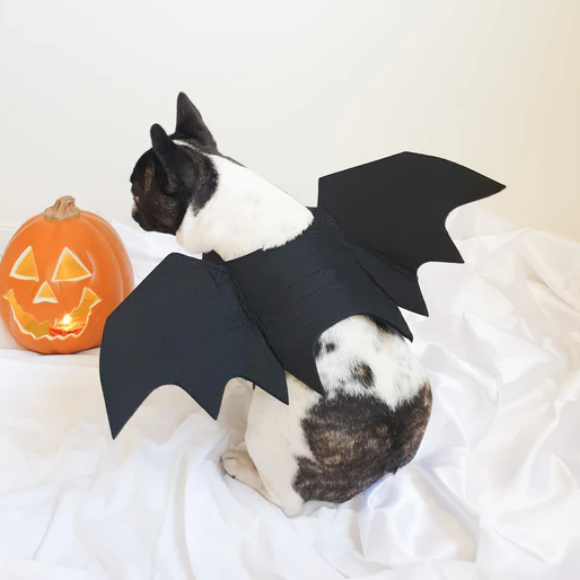 Spookje - Lichtgewicht Vilt Hondenkostuum