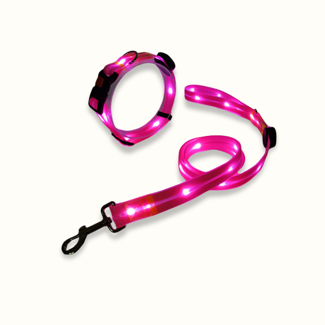 LumaPaw - Verlichte USB-Hondenhalsband