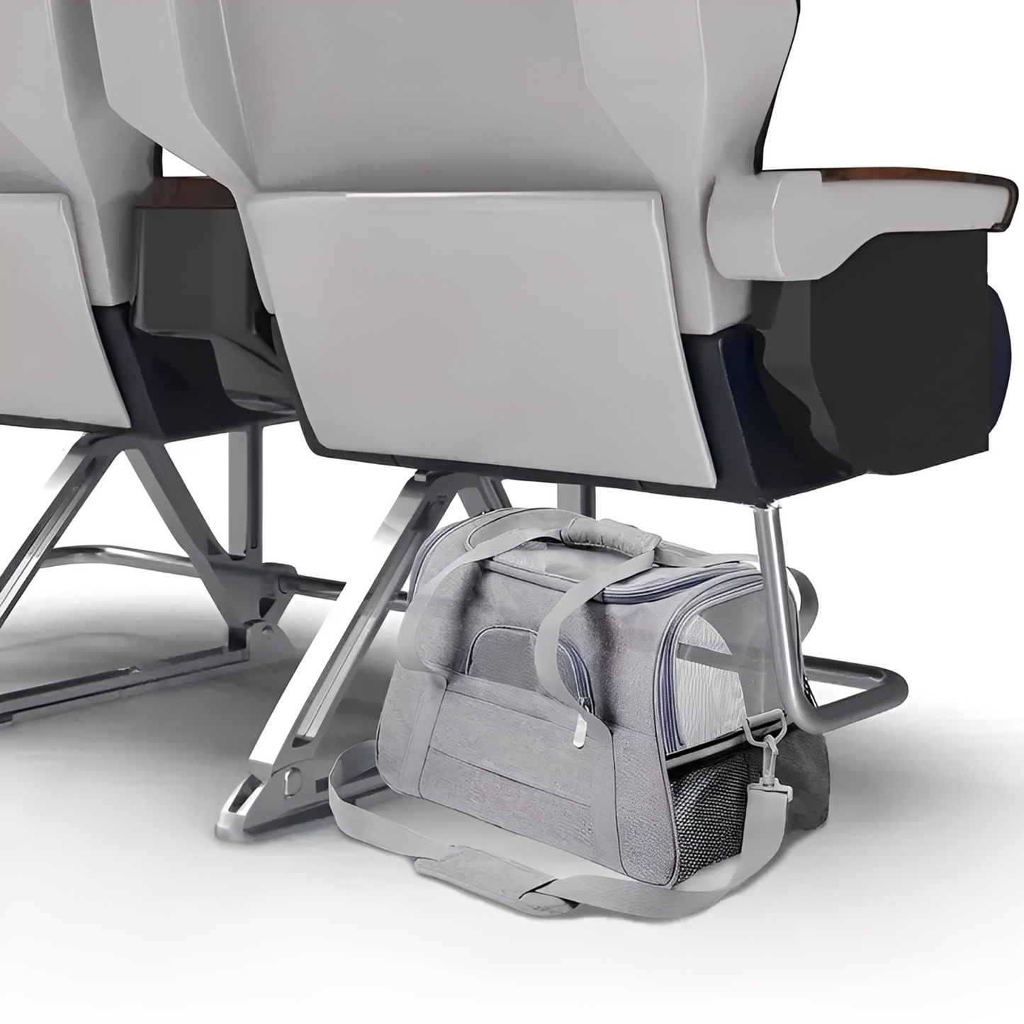 PawVoyage - Comfortabele Reis Hondentas