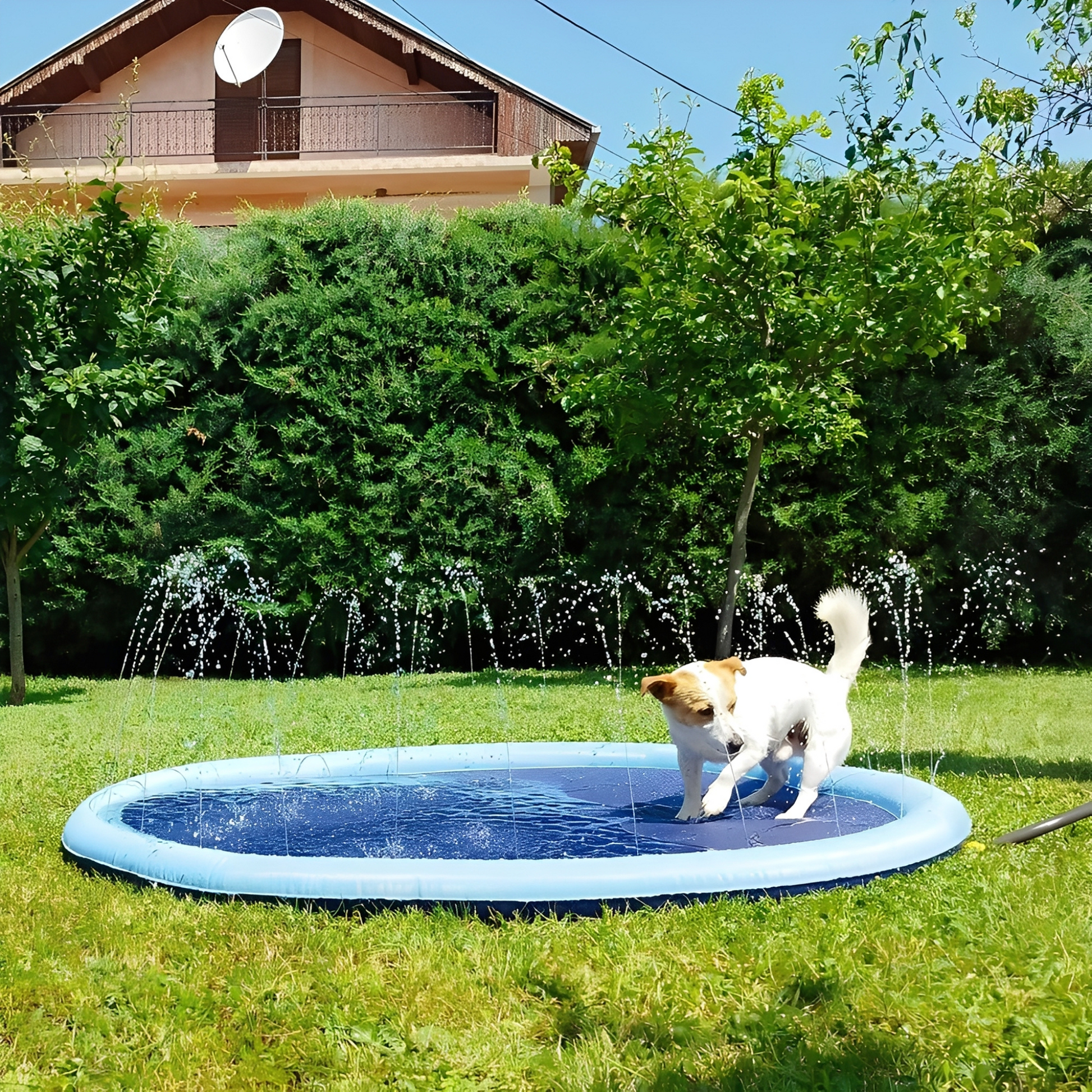 AquaPaws - Verfrissend speelplezier voor elke hond!