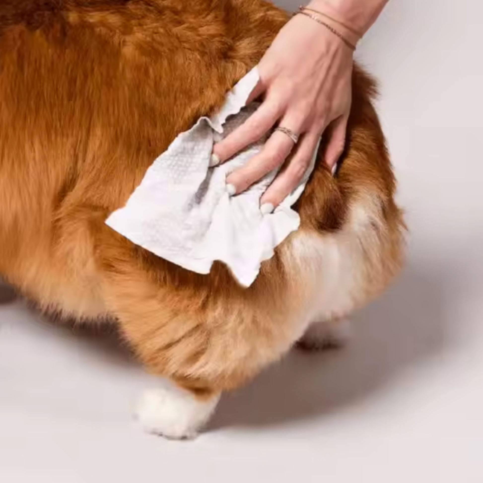 Cleanique - Hydraterende Reinigingsdoekjes Hond