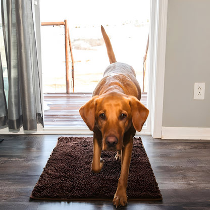 CleanPaw - Nooit meer last van vieze pootafdrukken in huis!