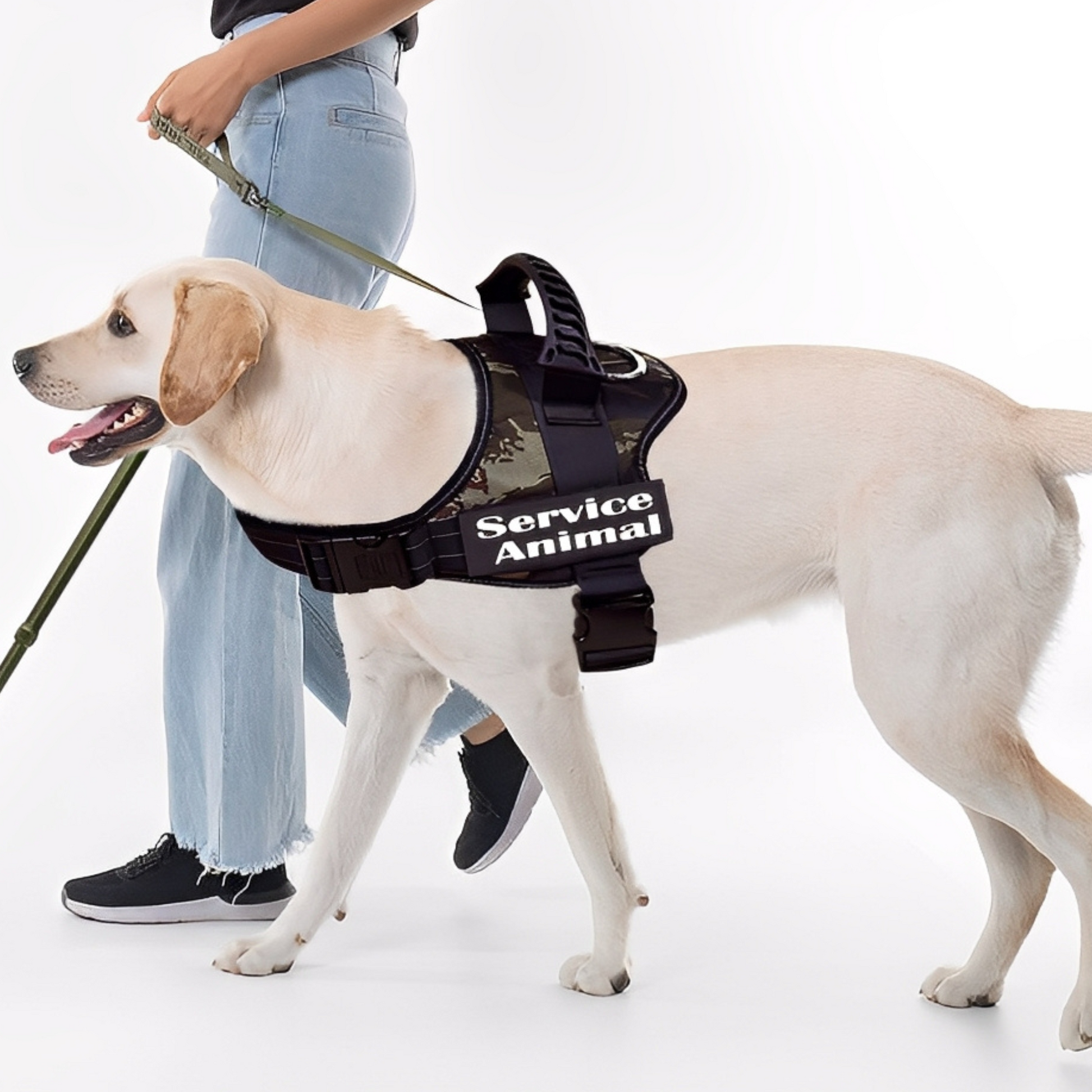 Taglet - Gepersonaliseerde Velcro Hondentag