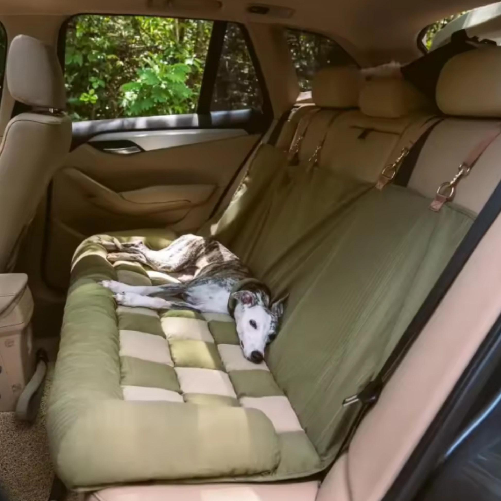 PawSecure - Veilig Autostoel Hondenbed