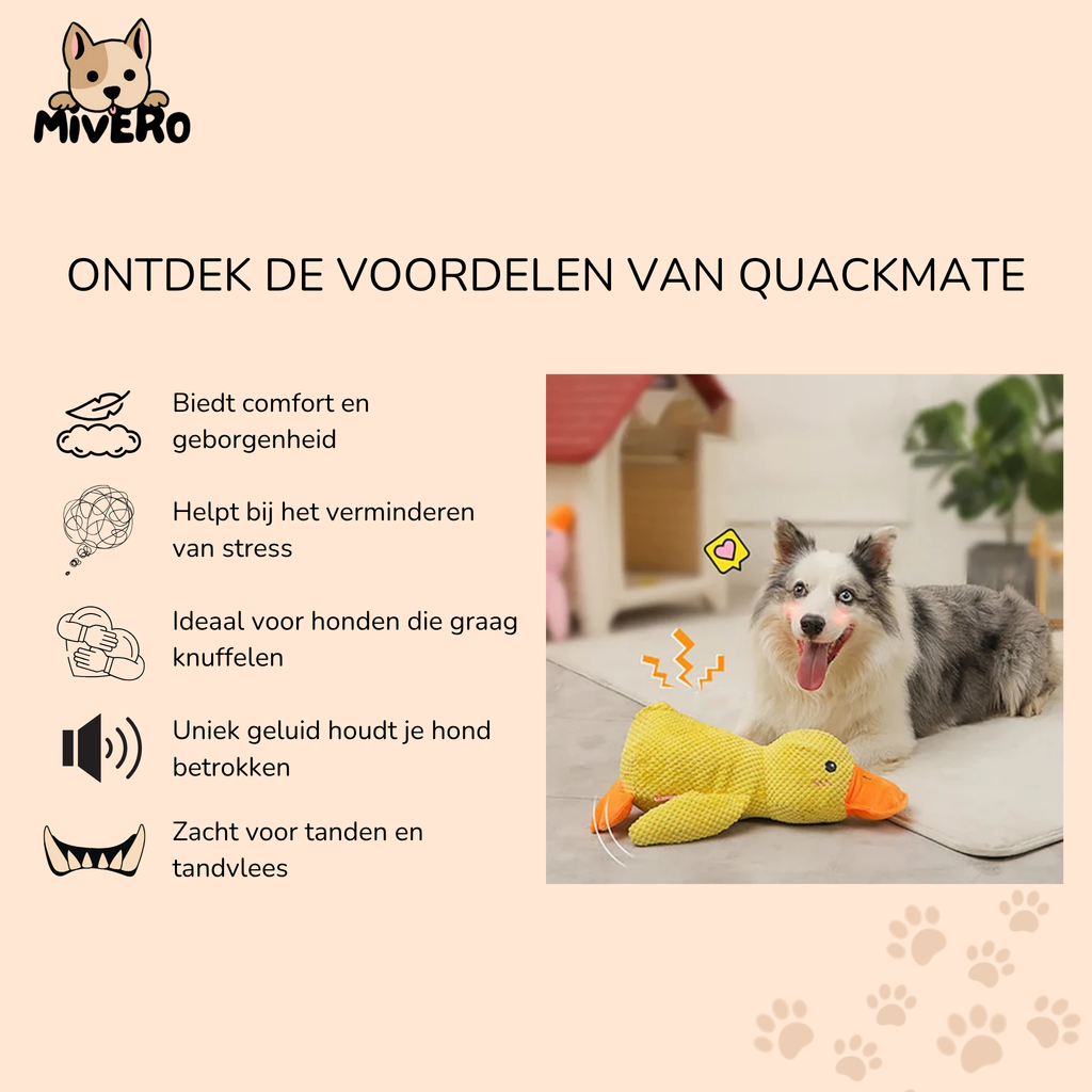 QuackMate - Honden Stress Eend Knuffel
