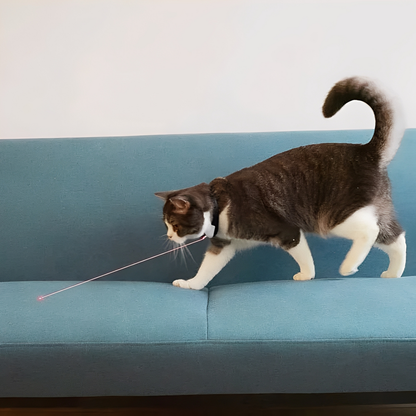 LaserPaw - Interactieve Huisdier Halsband