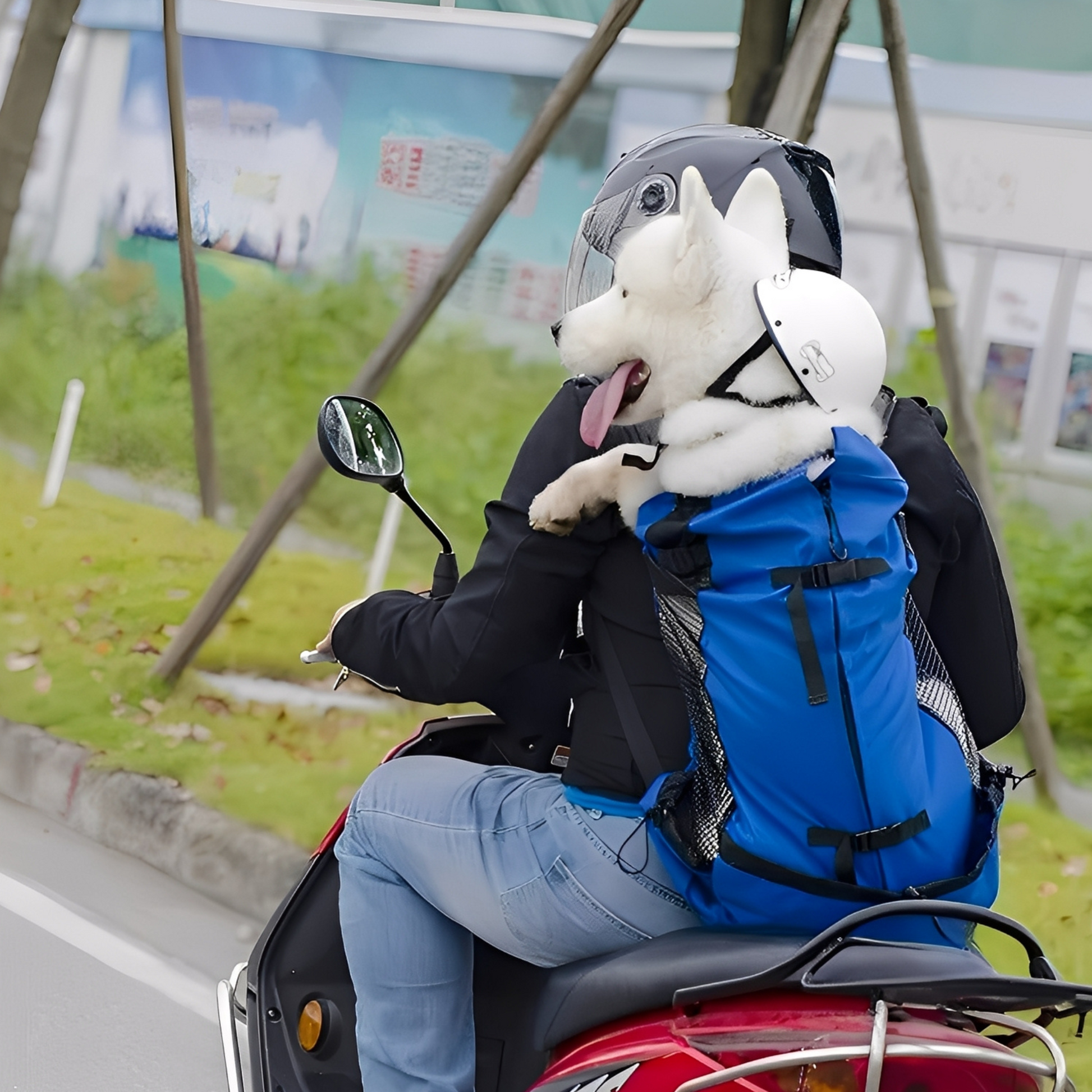 PawPack - Ergonomische Hondendraagzak Rugzak