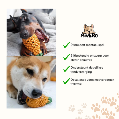 TropiChew -  Interactief Traktatie Hondenspeeltje