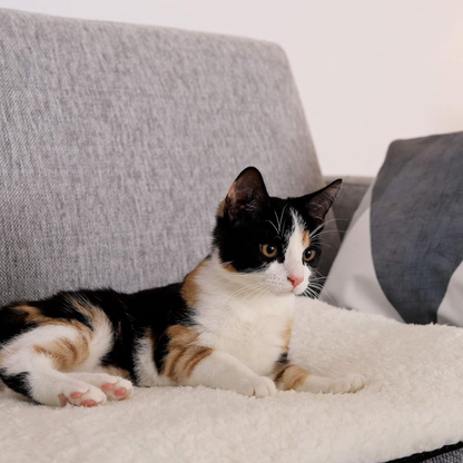Kozyra - Zelfverwarmende Pluche Kattenmat