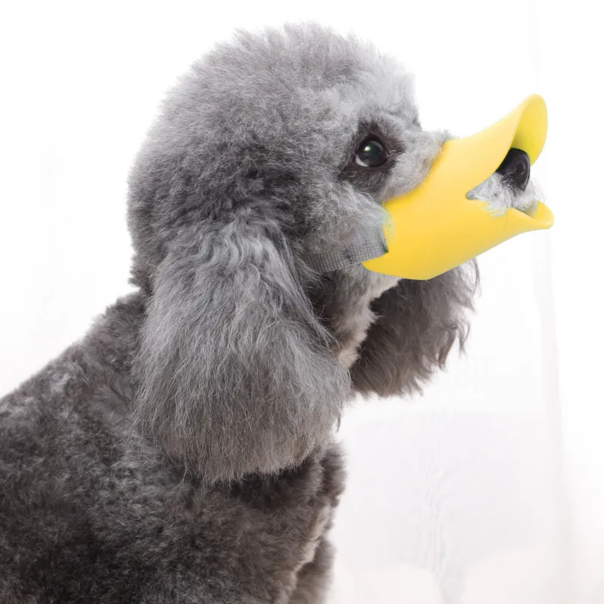 Ducko - Zachte Eendenbek Hondenmuilband