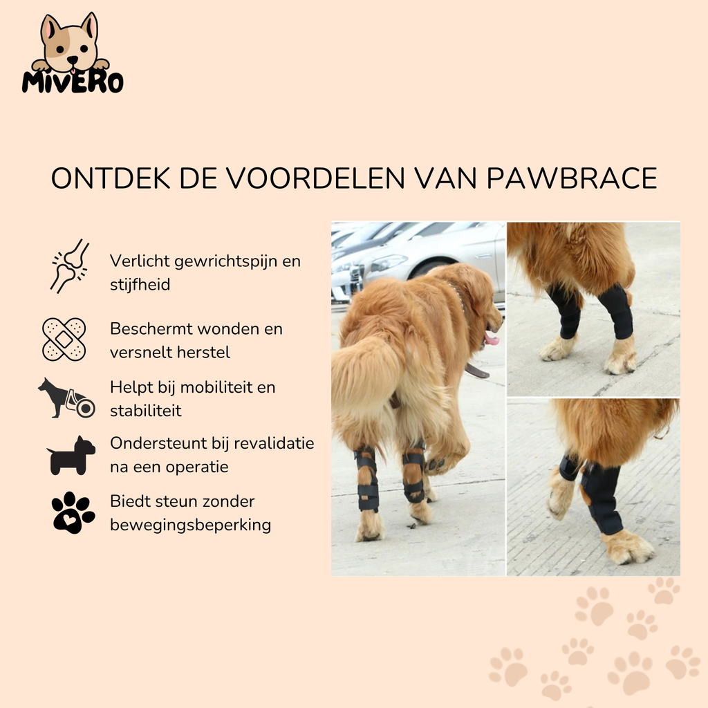PawBrace - Orthopedische Honden Pootbrace
