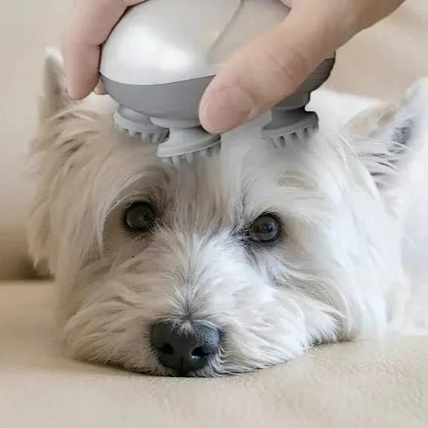 Whiskalm -  Waterdichte Siliconen Dierenmassager