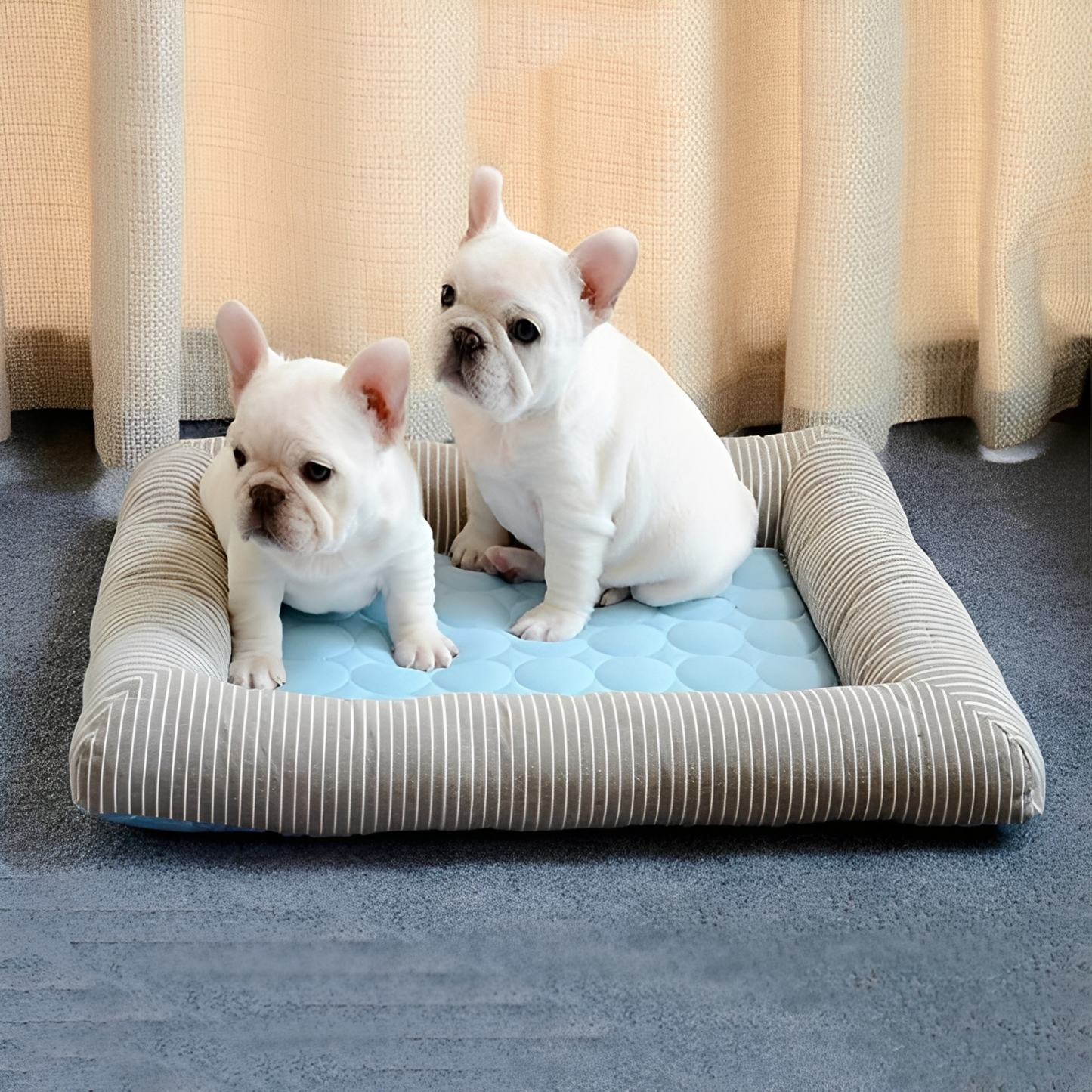 CoolPaw Premium - Bescherm je hond tegen de zomerse hitte!
