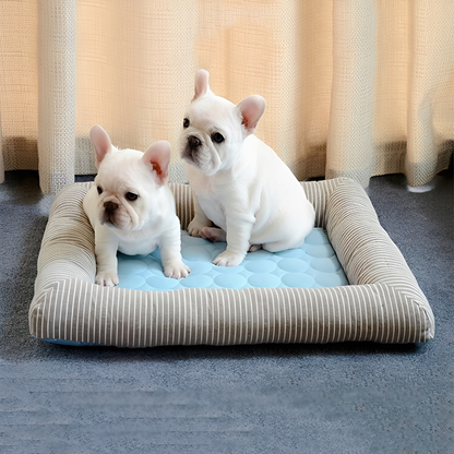 CoolPaw Premium - Bescherm je hond tegen de zomerse hitte!