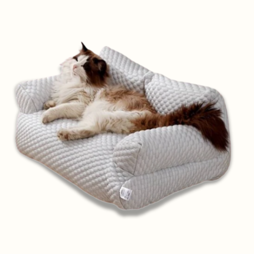ChillyPaws - Het verkoelende hondenbed!
