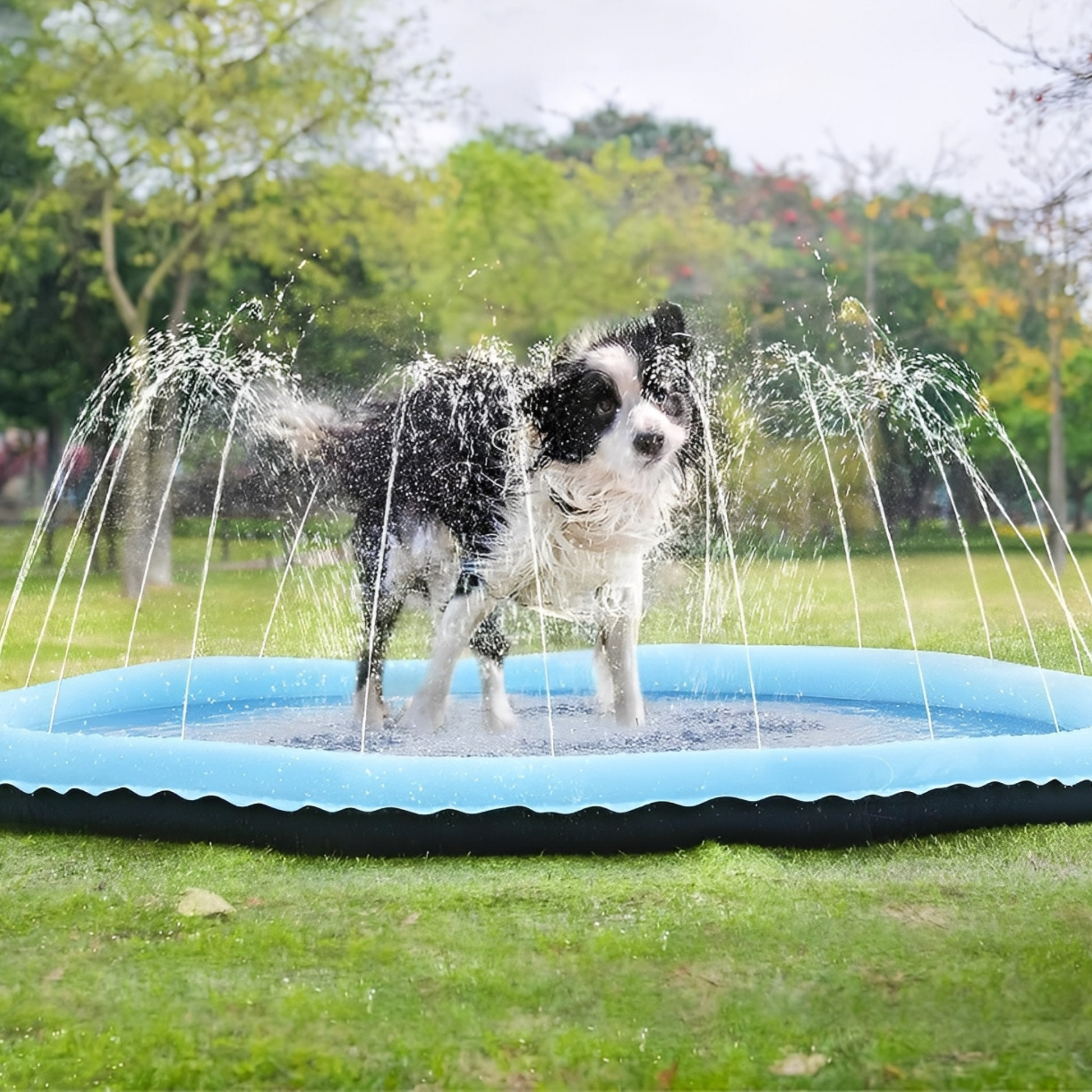 AquaPaws - Verfrissend speelplezier voor elke hond!