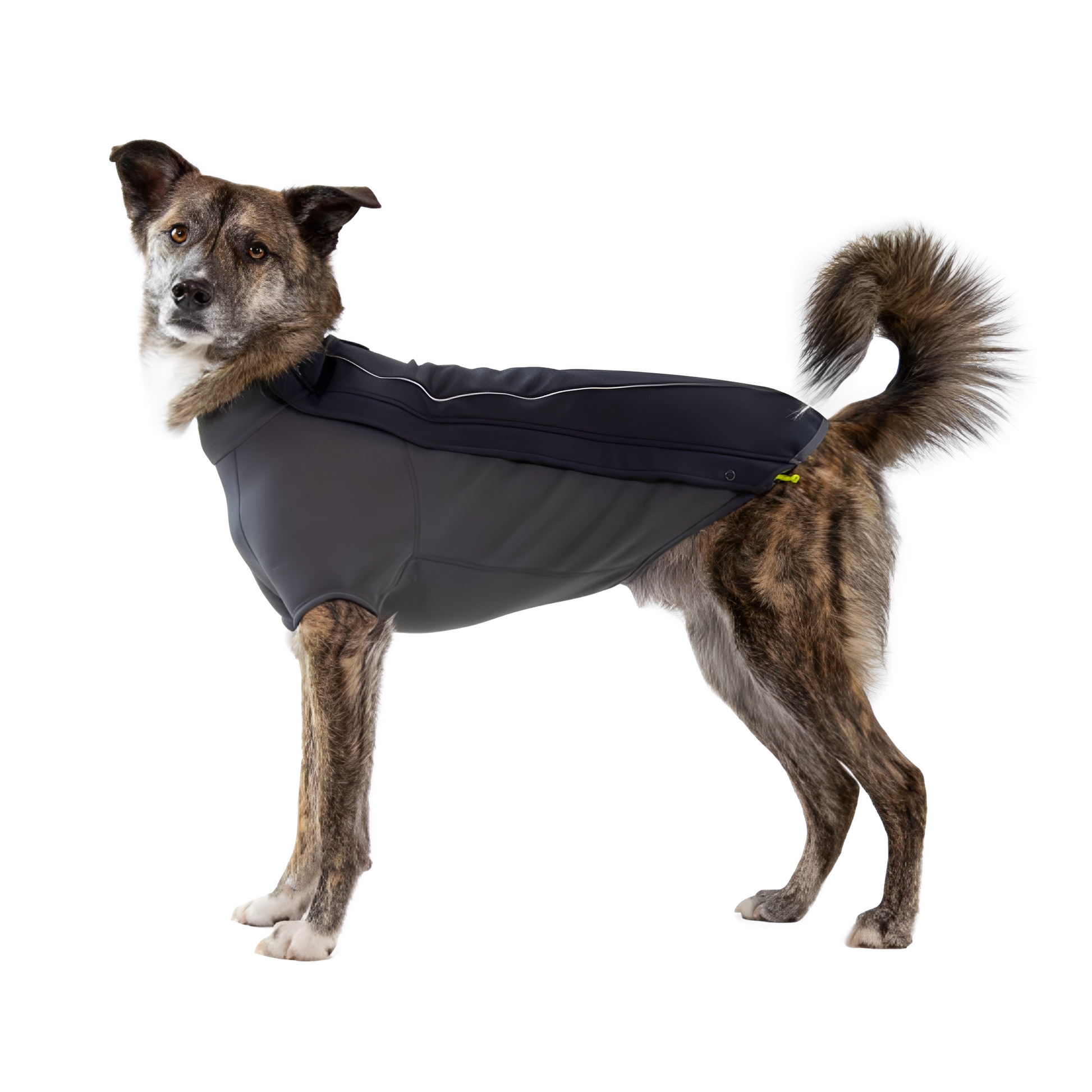 Warmpact - Waterdichte Softshell Hondenjas