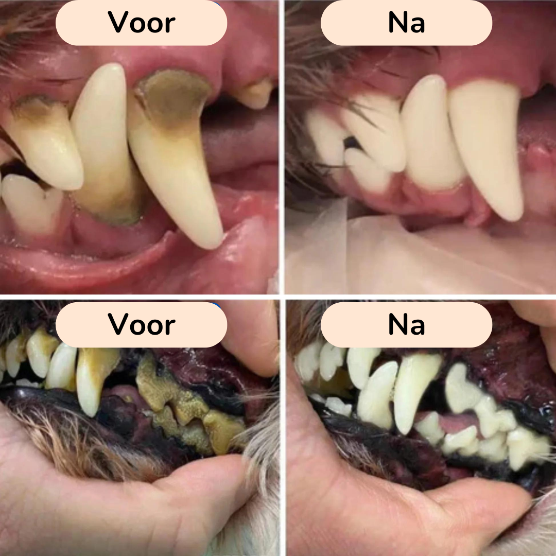 PawBrush - De Ultieme Tandverzorgingsset