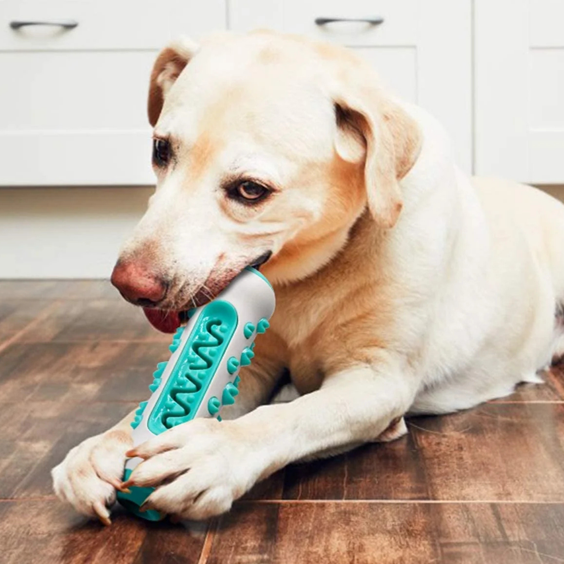 TuffBite -  Kauwbestendig Interactief Hondenspeeltje