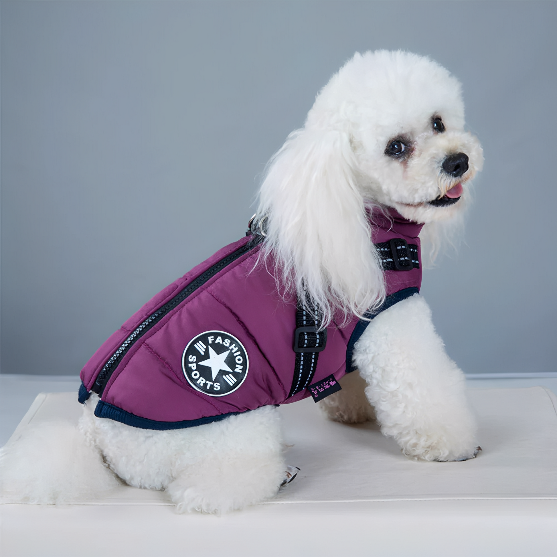 PawShield - Honden Winterjas Winterjas Voor Hond