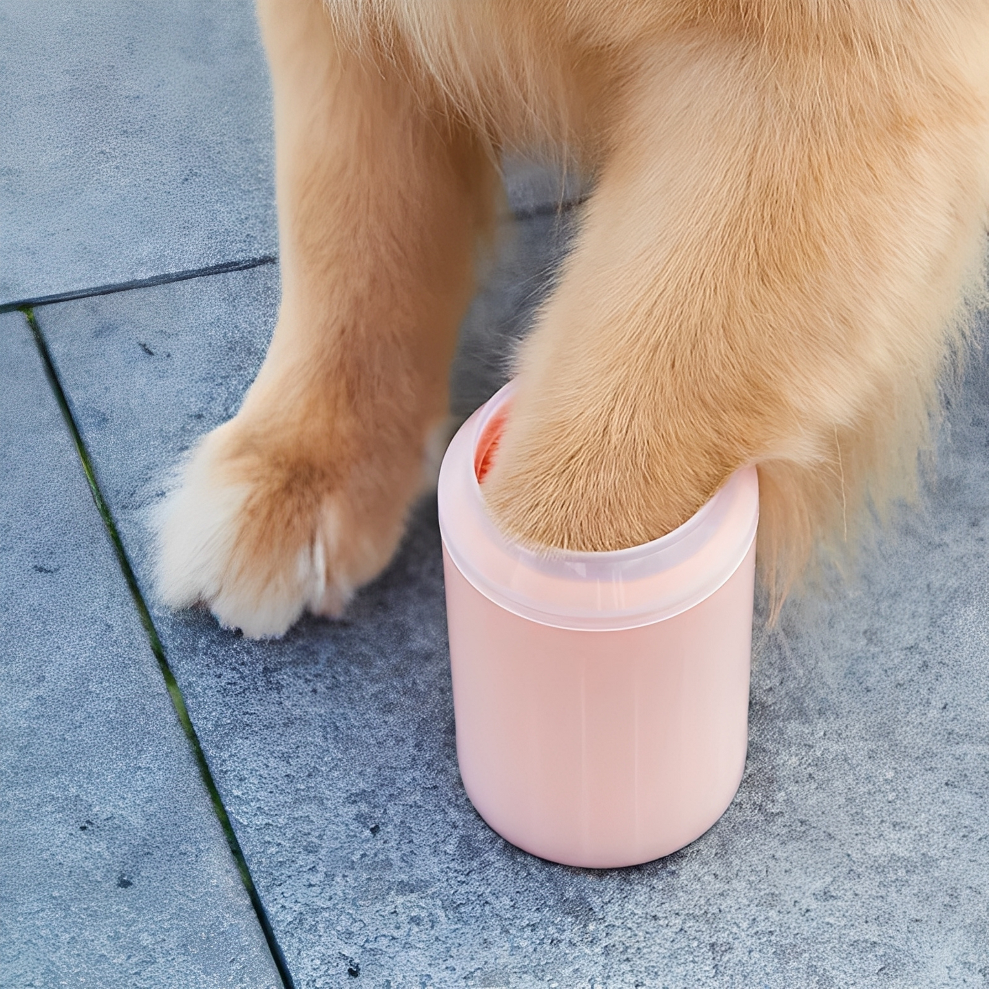 PawClean - Pootjes fris, vloeren schoon!