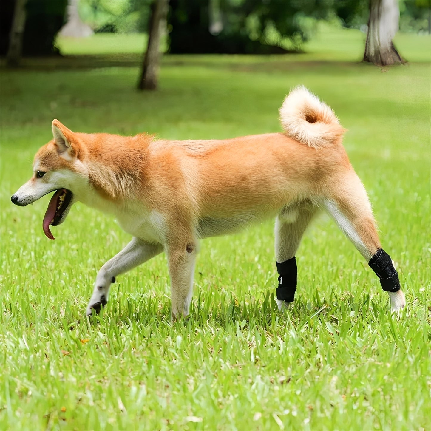 Healpaw -  Ademende Achterpoot Brace