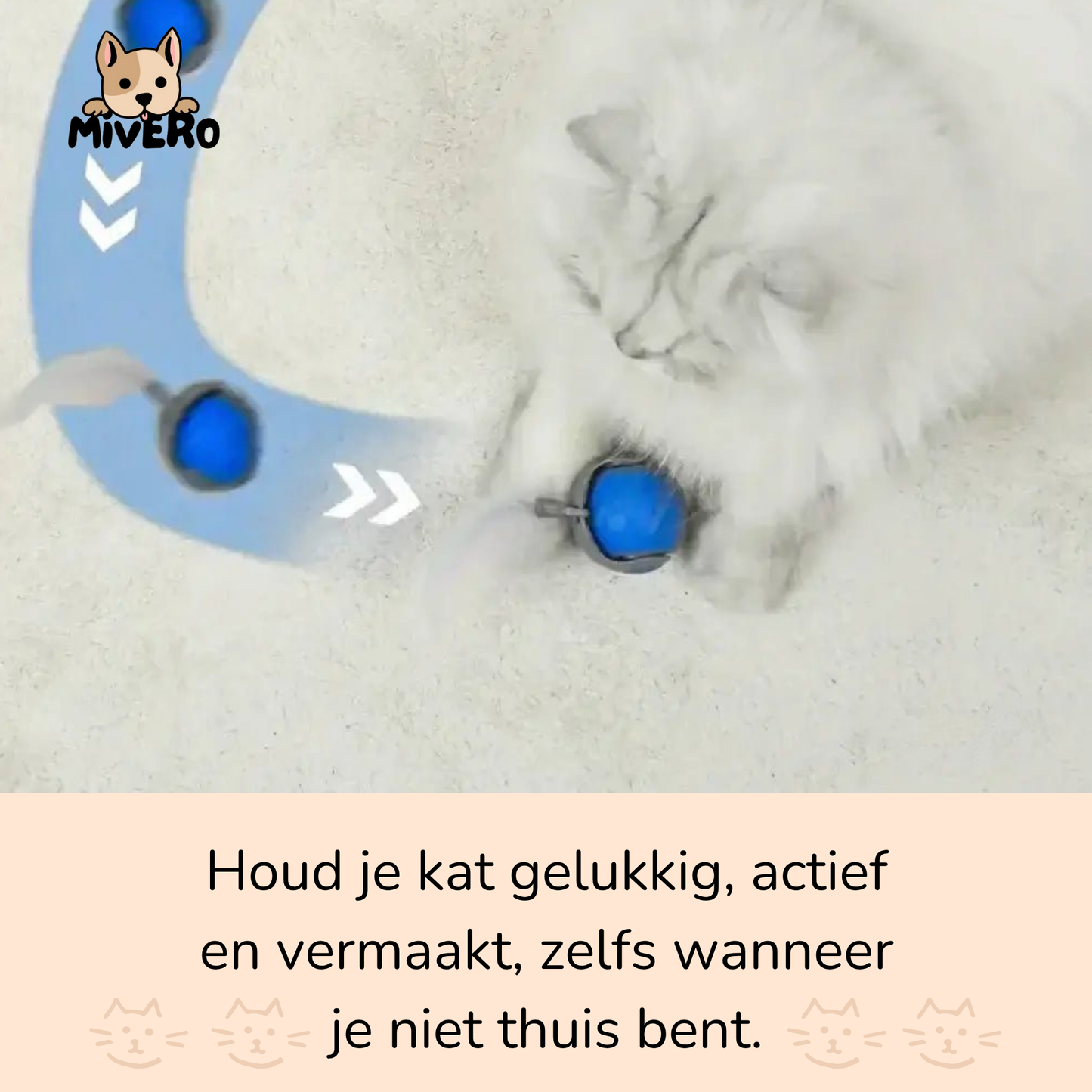 Zoomball 2.0 - Houdt katten actief en speels