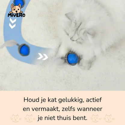 Zoomball 2.0 - Houdt katten actief en speels