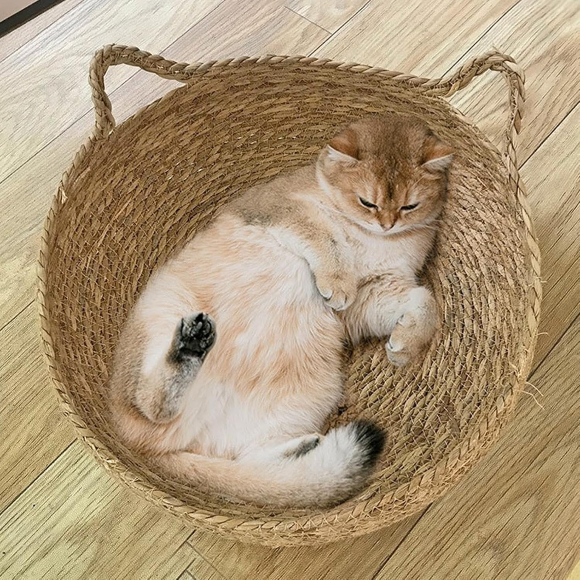 Baskit - Ademend Rotan Kattenbed