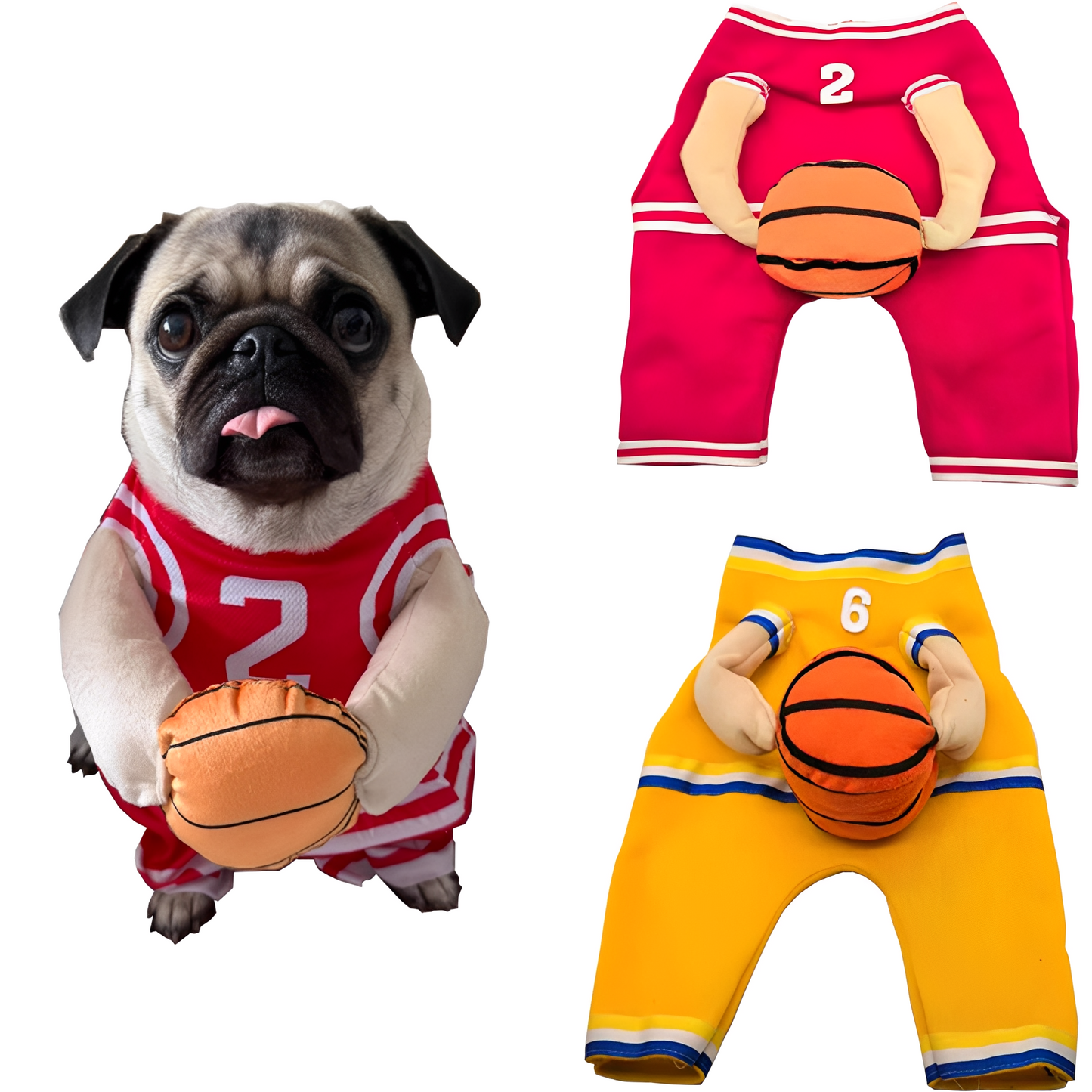 DunkinDog - Maak jouw hond een ster!