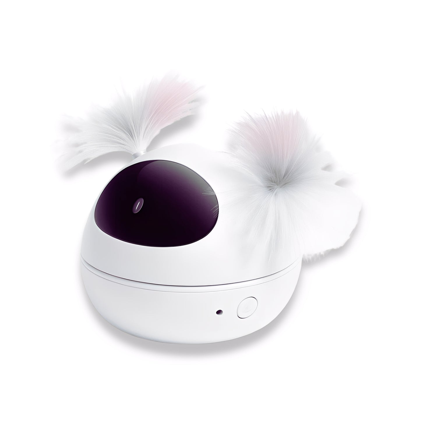 LazrLoop -  Automatische Interactieve Kattenlaser